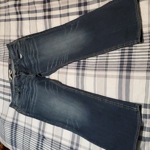 BKE Derek Bootcut Jeans